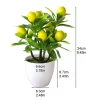 Artificial Lemon Bonsai Potted Plant 2