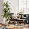 Artificial Dracaena Plant (120cm/150cm) 5