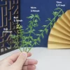 15cm 30pcs Mini Bamboo Trees 5