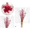 50Pcs Dried Flowers – Natural Floral Photography & Home Decor 4