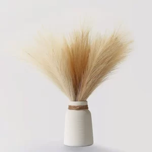 Pampas Grass Bouquet for Bedroom & Wedding Decor 1