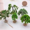 Mini Fairy Garden Bonsai 3