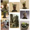 Groot Flower Pot Baby Tree Model 6