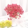 6PCS Baby’s Breath – Delicate Gypsophila for Home & Party 5