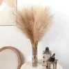 90/120cm Fluffy Pampas Grass – Wedding & Home Table Decor 4