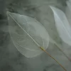 Lucency Leaf Vein Immortal Artificial Flowers for Wedding Table Decor 5