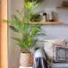 Large Artificial Monstera Palm Tree 3