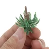 Mini Dwarf Coconut Palm Trees Set 4