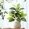 32.5cm Artificial Plants Fake Ficus Tree 5