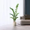 40-70cm Fake Money Leaf Ficus 2