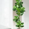 Large Artificial Ficus Tree (70-135CM) 2