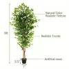 6-Inch Simulated Ficus Tree 2