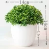 Artificial Pine Bonsai for Wedding & Home Decor 3