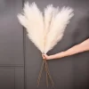 90/120cm Fluffy Pampas Grass – Wedding & Home Table Decor 3