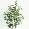 88cm Artificial Olive Tree for Hotel & Home Decor 2