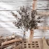 Vintage Eucalyptus Bundles (1/2/5pcs) - 38.5cm Artificial Plants for Home Decor 3