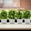 Artificial Plant Tree for Window Sill or Office Desk 5