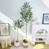 Artificial Olive Plant with High Branches 2