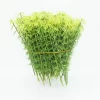 15cm 30pcs Mini Bamboo Trees 3