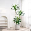 Artificial Dracaena Plant Indoor Ornament 5