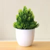 Mini Bonsai Tree for Home & Festival Decoration 5