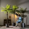 120cm To 220cm Artificial Coconut Tree 2