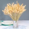 Dried Pampas Grass & Rabbit Tail Bouquet 4