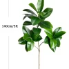 74-140cm Large Ficus Tree with Magnolia Leaves 6