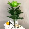 78cm Tall Palm Plant – Vibrant Fake Coconut Tree 5