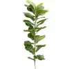 150cm Tall Artificial Ficus 2