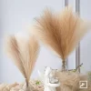 10PCS Artificial Pampas Grass 5