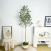 Artificial Olive Plant with High Branches 4