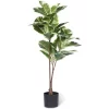 Artificial Rubber Tree Plant 6