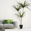 Large Artificial Dracaena Plant 3