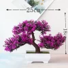 Small Potted Bonsai for Weddings & Home Decor 6