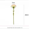 Single Carnation Stem – Realistic Faux Floral Accent 6