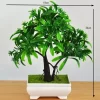 Potted Pine Bonsai for Table & Office Decoration 6