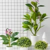 Artificial Azaleas Plant with Faux Ficus Leaves 3