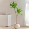 Potted Bonsai Tree – Elegant Greenery for Home & Events 4