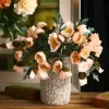 4-Head Poppy Bloom for Living Spaces & Dining Accents 4