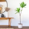 66-98cm Artificial Bamboo Palm Tree 5