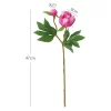 Peony Simulation Flower with Bud for Home & Photography Props 5