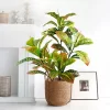 32-85cm Artificial Plant Color Changing Wood 2