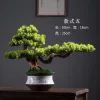 Welcome Pine Bonsai Desk Ornament 5