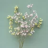 Big Babysbreath Spray for Wreaths & Event Styling 3