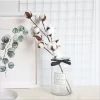 Naturally Dried Cotton Branch for Wedding, Garden & Party Decorations 5