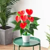 53cm Artificial Monstera Leaves Plastic Palm Fronds 4