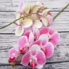 3D Butterfly Orchid (6 Heads) - Fake Flowers for Home & Wedding Decor 3