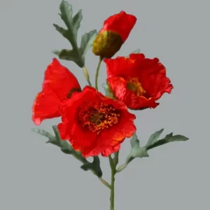 4-Head Poppy Bloom for Living Spaces & Dining Accents 1