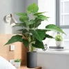 75cm Big Artificial Monstera 5